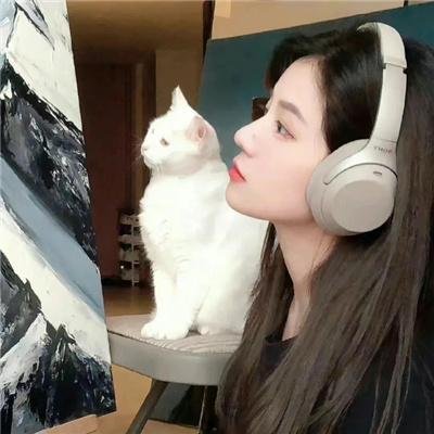 暴风雪 在线观看封面