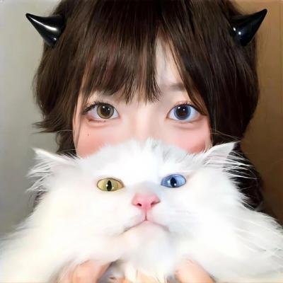 猫贼 在线观看封面