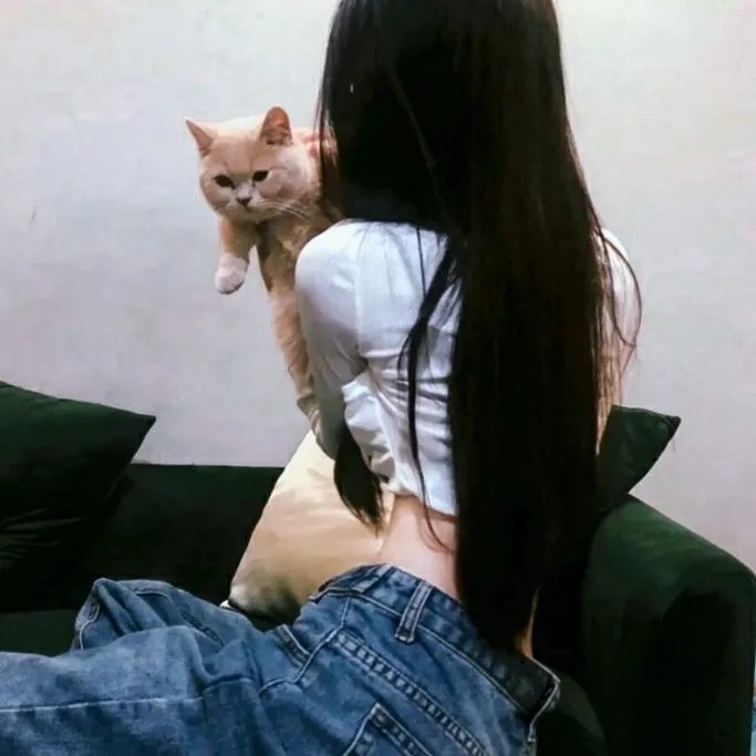 秋月 在线观看封面